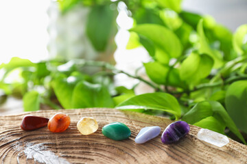 Aura. Different natural mineral stones on stump and green leaves indoors, closeup