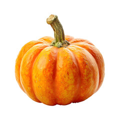 Vibrant Orange Pumpkin Isolated on White Background A Perfect Autumn Harvest Symbol