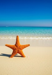 Orange Starfish on Sandy Beach with Turquoise Ocean
