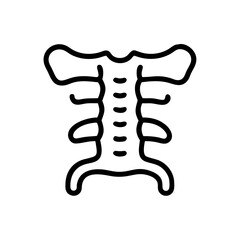 Spine Bone Anatomy Care Icon for Web and Graphic Design