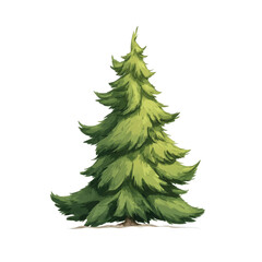 Obraz premium Lush Evergreen Coniferous Tree, Hand-Drawn Illustration