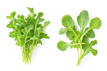 Fresh arugula bunches sitting on pristine white surface, highlighting crisp green leaves and vibrant culinary greens