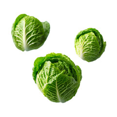 Fototapeta premium slices of crisp iceberg lettuce with visible veins