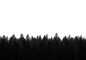 Silhouette of a dense forest with tall trees isolated on white background