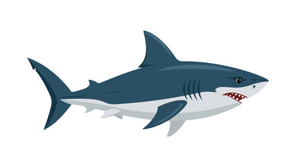 Obraz premium Illustration of a Great White Shark on a White Background aquatic life drawing vector ocean wildlife predator cartoon style character