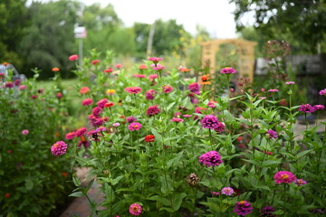 A beautiful garden with colorful flowers and butterflies.