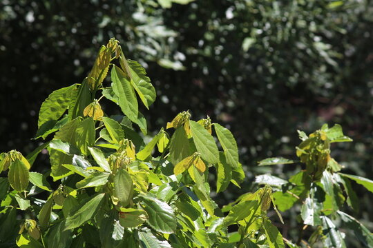 Sob os olhos de algu&eacute;m apaixonado pela natureza.