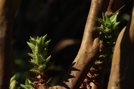 Sob os olhos de algu&eacute;m apaixonado pela natureza.