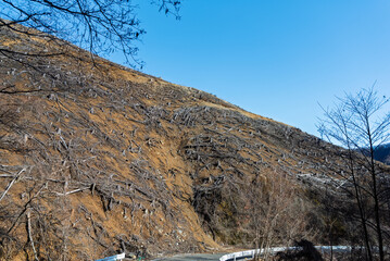 林道の崩落