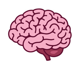 Cartoon brain illustration depicts a simplistic anatomical model on a white isolated background