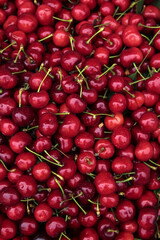 Fresh Red Cherries with Green Stems - Healthy Summer Fruit Background