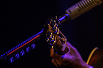 Tarraxa de Viol&atilde;o