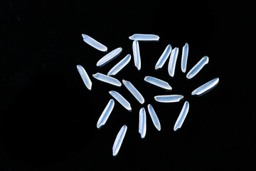 Rice Grains Circular Pattern on Black Background - Agricultural Cereals and Food Products