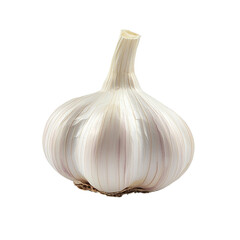 White garlic pile texture. Fresh garlic on market table closeup photo. Vitamin healthy food spice image. Spicy cooking ingredient picture. Pile of white garlic heads.