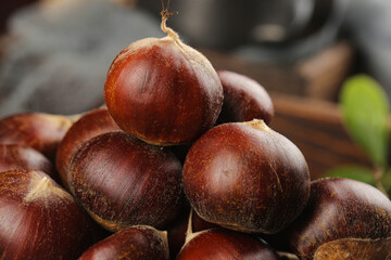Fresh Alpine Chestnuts with Open Shells - Natural Autumn Nuts Harvest for Seasonal Cooking and Food Photography