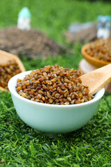 Buckwheat groats in bowl on grass - healthy whole grain cereal and superfood nutrition concept