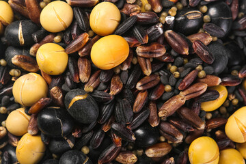 Mixed Eight Treasure Grains Black Bean Soybean Peanut Ingredients for Healthy Porridge Cooking