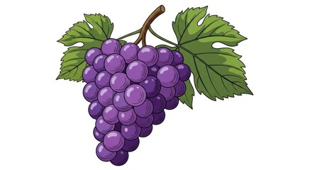 Fototapeta premium Vibrant cartoon illustration of a bunch of ripe purple grapes with green leaves and a brown stem, isolated on a white background. Ideal for food, health, or nature themes.