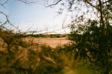 abandoned car in a field