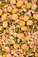 Mixed Legumes Grains Soybeans Mung Beans Wheat Seeds Natural Healthy Food Background Texture Pattern
