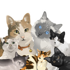 set of cats