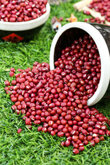 Fresh Red Adzuki Beans Spilling from White Bowl on Green Grass - Healthy Organic Legumes