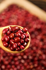 Fresh Red Beans in Wooden Spoon - Healthy Meal Ingredient for Porridge and Traditional Northeastern Cuisine