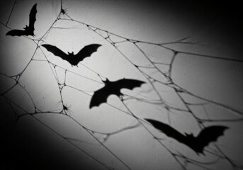 Spooky Halloween Shadows Bats Flying Through Cobweb on Wall