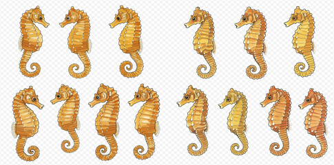 Twelve seahorses in various shades of gold and brown arranged in two rows on a transparent background. © studio
