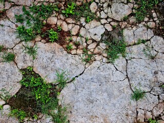 Cement floor peeling with grass and soil appearing through cracks