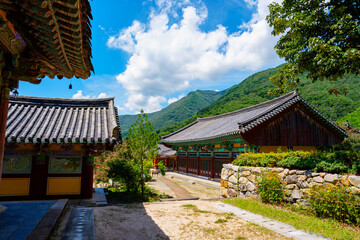 A view of Pyochungsa Temple, an old cultural heritage site in Miryang, Korea, with red Crape Myrtle flowers in full bloom in early summer.