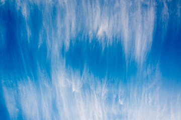 Summer Day with Light Wispy White Clouds
