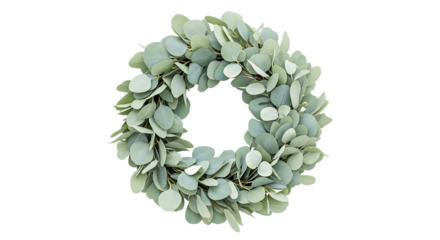 Elegant round wreath crafted from numerous delicate eucalyptus leaves, offering a serene and natural decorative accent for any interior space or special occasion