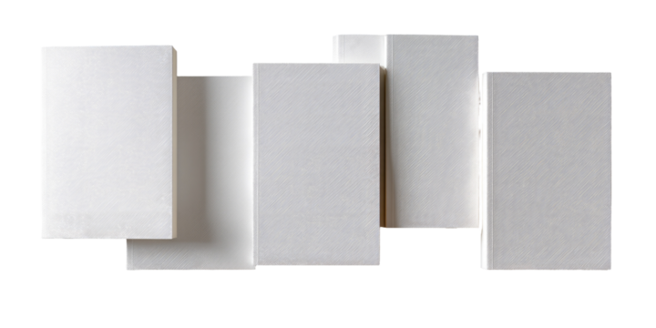 Abstract arrangement of five rectangular, light-colored, flat shapes