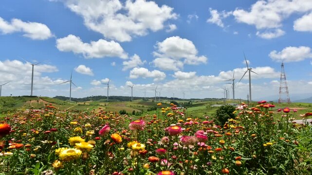 Eco power, wind turbines, producing green energy.