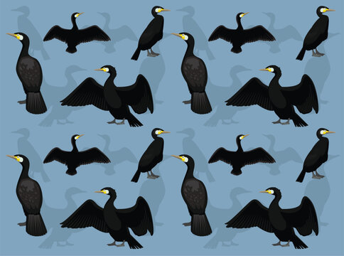 Great Cormorant Cartoon Character Seamless Wallpaper Background