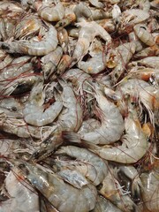 Fresh Raw Shrimp Background – Seafood Culinary Ingredient
Close-up of fresh raw shrimp with natural texture and detail. 