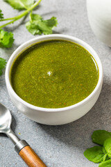 Organic Healthy Indian Mint Cilantro Chutney