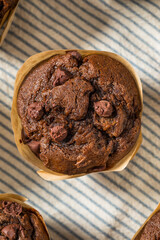 Sweet Homemade Double Chocolate Chip Muffin
