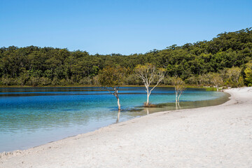Lake Mckenzie (Boorangoora) is a perched lake on K'gari or Fraser Island in Queensland, Australia. The lake is located in the Great Sandy National Park.