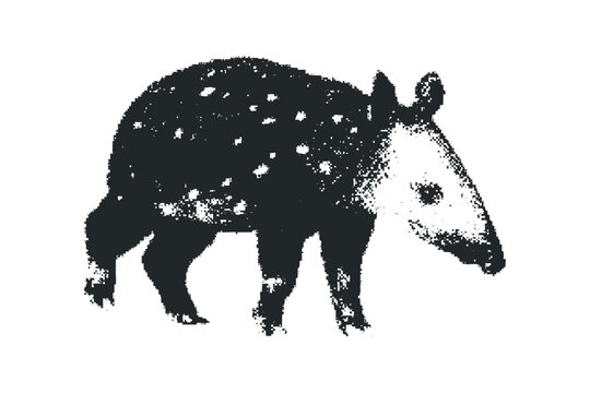 black tapir on white background clip art preview