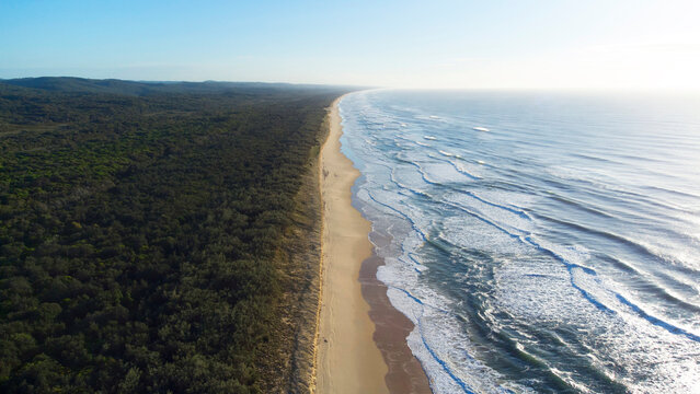 This expansive aerial shot captures a long, curving coastline where a wide, sandy beach meets the ocean. To the left, a dense forest creates a dark green border, while to the right, white waves