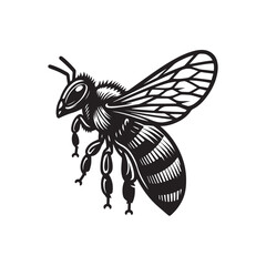 vector illustration of a bee