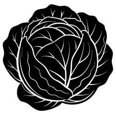 Stylized black and white silhouette of a fresh cabbage head with visible leaf veins