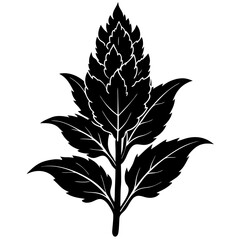 Stylized black silhouette of a hop cone with leaves on a white background