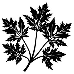 Elegant black silhouette of a fern leaf branch with intricate veining on white background