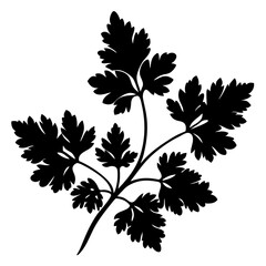 A stark black silhouette of a parsley sprig with delicate serrated leaves against a white background