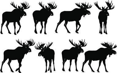 Moose silhouette vector set, walking and standing poses, large antlers, wildlife animal illustration, black forest creature, isolated graphic elements