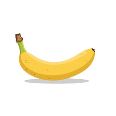 banana fruit vector illustration