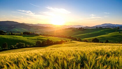 Golden Sunburst Over a Ripe Wheat Field and Verdant Tuscan Hills